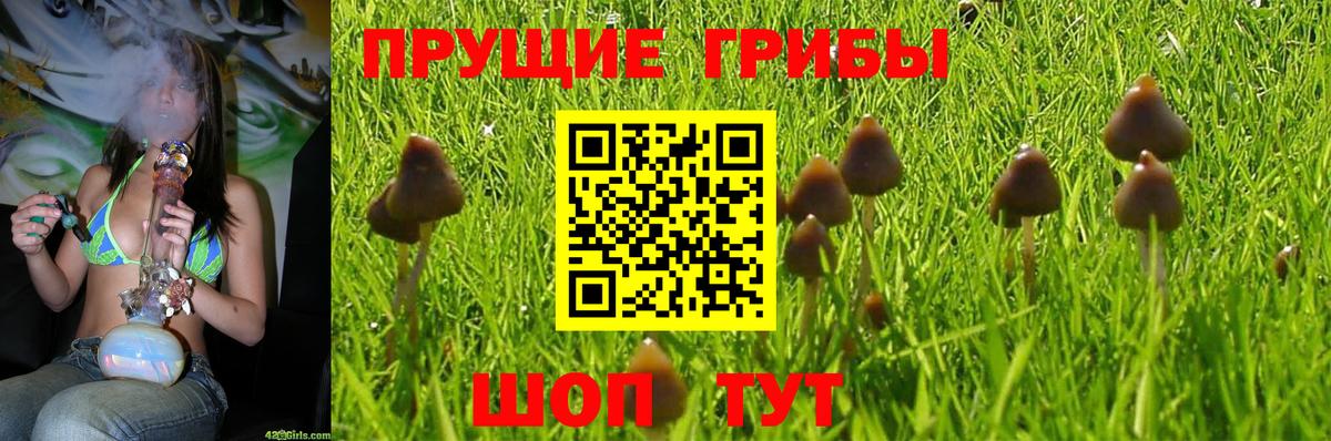Сокол  хочу наркоту  Вход с VPN  Псилоцибиновые грибы Magic Shrooms  Галлюциногенные грибы мицелий 