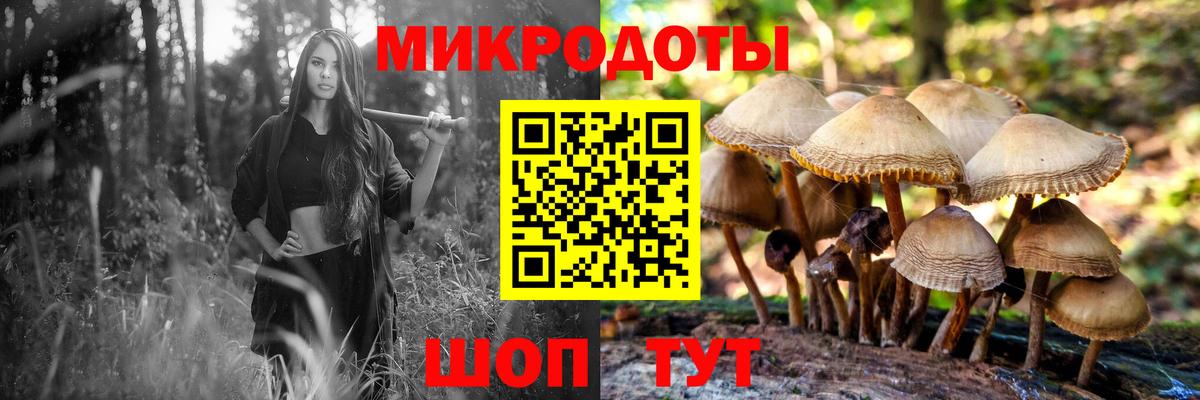 Галлюциногенные грибы ЛСД Сокол