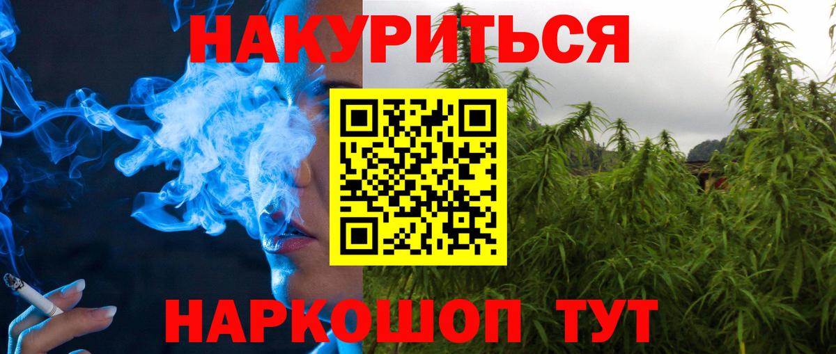 Сокол  Бошки Шишки ГИДРОПОН  Марихуана план  Марихуана SATIVA & INDICA  Вход с VPN  Канабис THC 21% 
